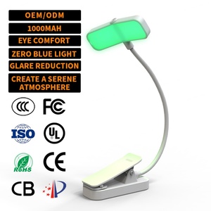 Lampe de lecture LED USB portable rechargeable EGH, double tête pliable, avec clip, pour usage intérieur, marque-page, lecteur de livre pour la France - Product Image 1