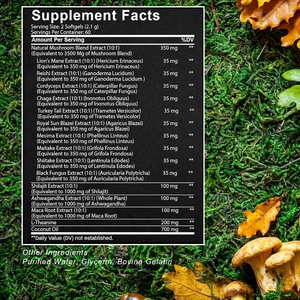 Cápsulas de Hongos ODM OEM con Mezcla de Extractos de Hongos Naturales que Favorecen la Salud Digestiva, la Función Cerebral, la Energía y el Sistema Inmunitario - Product Image 6