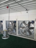 Poulailler automatique robuste pour l'élevage de poulets pondeurs / Conception de ferme avicole