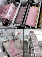 Ligne de production de nouilles d'idées commerciales rentables Nouilles chinoises faisant la machine Machine automatique à nouilles