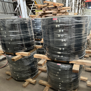 Hot nhúng mạ kẽm Dải nướng màu xanh Tempered thép đóng đai q195 Q235 sơn màu đen recoiling cáp có thể điều chỉnh Armor dây đeo - Product Image 4