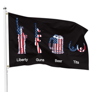 Drapeau arc-en-ciel LGBTQ Progress Pride 3x5 pieds, style fanion, avec mât en fibre de verre, drapeau gay, prêt à être expédié - Product Image 6