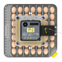 Mesin penetasan telur otomatis WONEGG Hot Sale dengan kontrol kelembapan mini untuk 48 telur