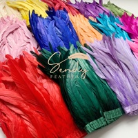 Décoration de Fêtes, Costumes de Carnaval, Plumes de Coq Teintes 25-30cm 30-35cm, Tissu en Dentelle à Franges Teintes, Accessoire Vestimentaire