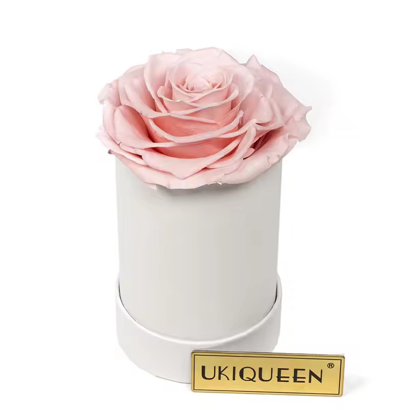 วัน-อาร์-ดับเบิลยู