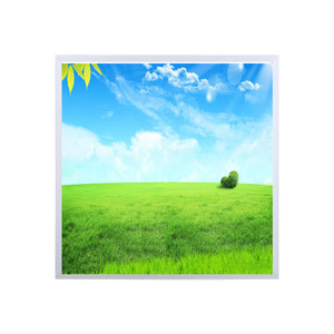 <b>Led</b> Panel <b>Light</b> 600x600mm Aluminum Frame Modern Design For Office School Hospital Ktv <b>Bar</b> Ceiling Lamp With Daisy Pattern - Product Image 2