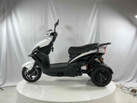VIMODE Tricycle Électrique Tout-Terrain Puissant et Robuste pour Passagers et Marchandises – Idéal pour les Sorties Familiales et les Adultes – Vente Flash