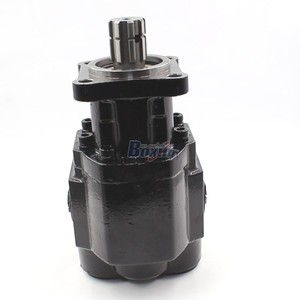 Buscando Socios Globales: Bomba de Engranajes Hidráulica CBHST1-ISO-100 (100cc/rev) - Oportunidades de Venta al por Mayor, Distribución y Comercio - Product Image 1