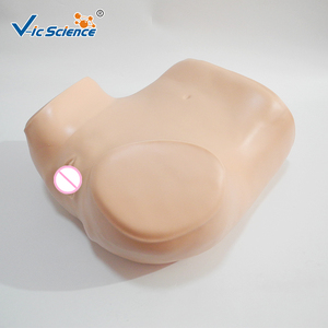 Medische Opleiding Gynaecologische Simulator Hot Sale Gynaecologische Training Simulator Medische Training Model Examen Model - Product Image 2
