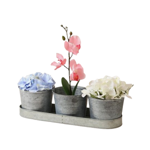 Maceta de zinc galvanizada rústica vintage macetas hogar jardín macetas decorativas de metal y maceta - Product Image 3