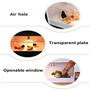 แผ่นความร้อนสำหรับกรงไก่48*30*32ซม. สำหรับ35ลูกไก่ - Product Image 4