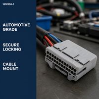 1612906-1 Vente directe usine Automobile domestique Connecteur de câblage 24 broches en laiton 12V avec boîtier PBT pour montage sur câble - LS par Lanshuo