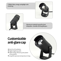Projecteur extérieur en aluminium basse tension paysage étanche Ip65 voie jardin Spot Led Spike éclairage Cob lumière LED jardin