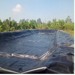 Nhà máy chuyên nghiệp bán hàng trực tiếp polyethylene gia cố 1mm 1.5mm HDPE geomembrane - Product Image 5
