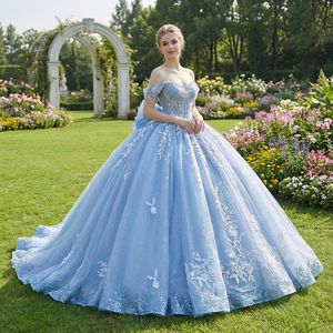 Robe de bal en organza bleu simple et naturelle pour Quinceañera, longueur au sol, col cœur, appliques en dentelle de cristal, nœud d'amour, décorée de perles - Product Image 1