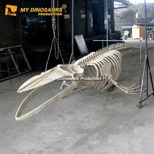 MyDino Colgando Animal Marino 8M <span class=keywords><strong>Esqueleto</strong></span> <span class=keywords><strong>Ballena</strong></span> Azul - Product Image 4