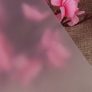 Hersteller in China Transparente Polypropylen folie (<span class=keywords><strong>CPP</strong></span>) Pp Extrudierte Kunststoff rollen qualität Kunststoff platten - Product Image 5