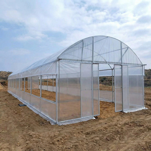 Factory OEM Single-span Double Layer Large Size Film <strong>Plastic</strong> Tunnel Agricultural <strong>Greenhouses</strong> with Transparent <strong>Cover</strong> - Product Image 2