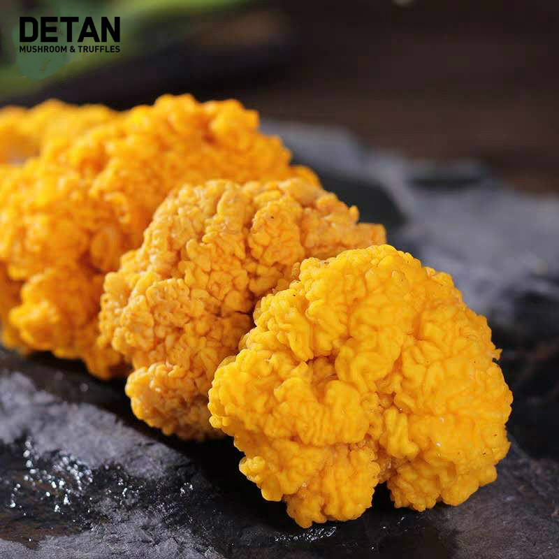 Detan Fresh Tremella Aurantialba Golden Fungus Mushroom