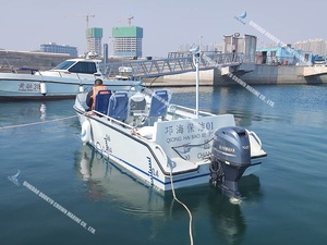 Barco de Recreo de 20 Pies de Bajo Consumo DK-WR20, Barco Turístico de 20 Pies DK-WR20 - Product Image 4