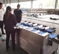 Automatische gewichtssorteermachine van roestvrij staal, industriële gewichtsclassificeermachine voor het sorteren van kip, fruit en vis.