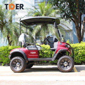 TDER Mini voiturette <span class=keywords><strong>de</strong></span> <span class=keywords><strong>golf</strong></span> électrique chinoise Batterie 48v 2 places voiturette <span class=keywords><strong>de</strong></span> <span class=keywords><strong>golf</strong></span> prix - Product Image 5