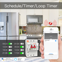 Disjoncteur intelligent Wi-Fi Tuya pour la maison connectée avec protection contre les fuites temporisée et mesure de la consommation électrique