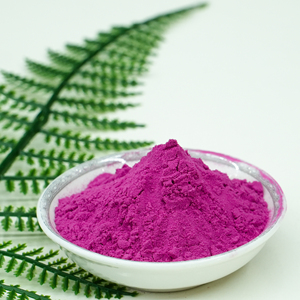 Polvo de Jugo de Arándanos Instantáneo en Oferta, Ingrediente para Bebidas, Gran Stock Disponible - Product Image 3