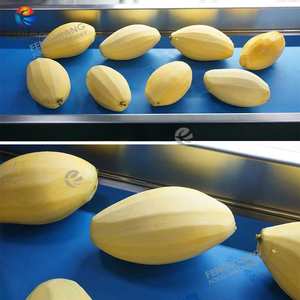 8-16 kafaları endüstriyel Papya Pawpaw <span class=keywords><strong>Mango</strong></span> soyucu makinesi ile gıda sınıfı konveyör kemer - Product Image 5