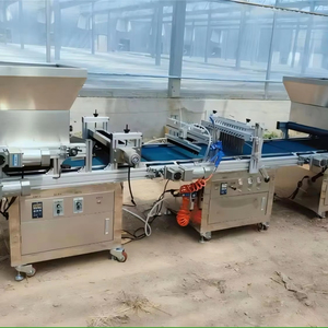 Hạt giống Cà chua vườn ươm KHAY GIEO Máy Hành tây hạt giống cắm KHAY GIEO HẠT máy hạt tiêu phát triển khay <span class=keywords><strong>seeder</strong></span> trồng - Product Image 5