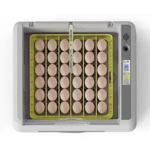 HHD WONEGG 36pcs Populaire Mini Couveuse Oeuf Automatique Incubateur à Oeufs Plateau à Oeufs Automatique