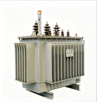 Transformateur de distribution d'énergie général 3 phases 110 kV 315 kVA SH15, bobinage en aluminium ONAF Dyn11, équipe technique d'économie d'énergie