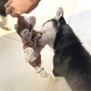 2025 yeni Trend gıcırtılı oyuncaklar hiçbir doldurma dayanıklı peluş sürdürülebilir çevre dostu eğitim çiğnemek oyuncaklar için küçük Pet - Product Image 4