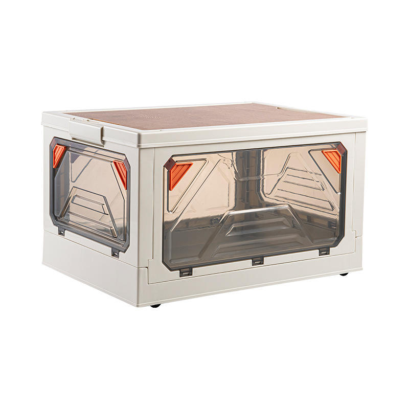 Modelo transparente de cinco puertas.