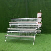 Cage à poules pondeuses de type A, cage à batterie pour poules pondeuses, 96/120/128/160 oiseaux, utilisation en maison, 3/4 niveaux, cage à poules pondeuses pour élevage avicole