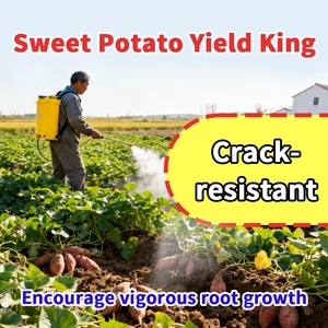 ENGRAIS <span class=keywords><strong>DE</strong></span> <span class=keywords><strong>PATATE</strong></span> <span class=keywords><strong>DOUCE</strong></span> Engrais spécialisé pour la production <span class=keywords><strong>de</strong></span> patates douces à haut rendement Engrais organique spécialisé pour pommes <span class=keywords><strong>de</strong></span> terre - Product Image 5