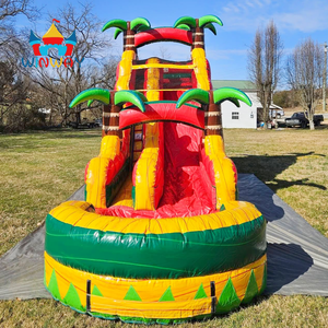 Tobogán acuático inflable comercial de una sola vía <span class=keywords><strong>con</strong></span> <span class=keywords><strong>piscina</strong></span> para diversión acuática - Product Image 1