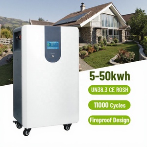 Exliporc 48V 51.2 Volt pin lithium 100Ah 200AH 10kwh <span class=keywords><strong>15</strong></span> <span class=keywords><strong>Kw</strong></span> Lưu trữ năng lượng LiFePO4 LWP cho hệ thống nhà năng lượng mặt trời - Product Image 1