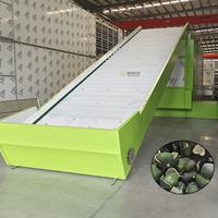 Continue groene sinaasappelschil-meshband droogmachine Chen Pi meshband droogmachine sinaasappelschil droogmachine