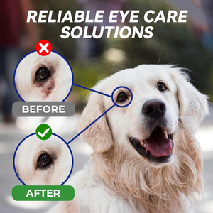 <span class=keywords><strong>Gotas</strong></span> Oftálmicas para Perros de Marca Privada, Tratamiento para Infecciones Oculares, Alivio de Alergias Oculares, Alivio de Ojos Secos, Ojos Rosados, Limpiador de Manchas de Lágrimas para Perros - Product Image 6