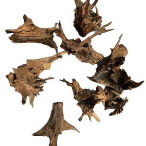 Manzanita Branche Accents Mopani Boule Oiseau Bali En Vrac Mapani Décoratif Rouge Moor Bois Unique Cheval Étoile Cabane Tweety Driftwood - Product Image 1