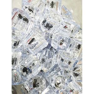 Jouets <span class=keywords><strong>blague</strong></span> magique Fly In Magic Clear Cube Gimmick Joke Spoof jouet Cube With Fly Inside Magic Props - Product Image 5