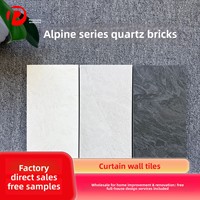 Carreaux de céramique pour mur rideau PX Modèle 0067 Alpine 600x1200mm Antidérapants Faible absorption d'eau Résistants à l'usure Texture granit Mat