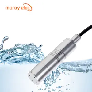 Deep Well Ground Hydraulic Submersible Liquid Tank Stainless Hydrostatic RS485 Analog 4-20mA Water Level Transmitter