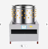 Weiyan plumeuse automatique de poulet en acier inoxydable prix d'usine ferme avicole abattoir
