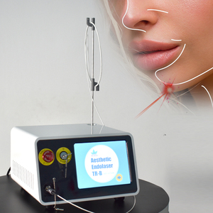 Appareil de lipolyse laser Fiberlift Endoskin 980nm 1470nm, liposuccion, élimination du double <span class=keywords><strong>menton</strong></span>, lifting endo-laser - Product Image 4