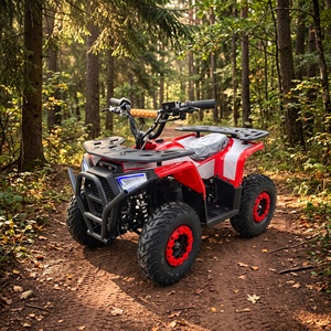 <span class=keywords><strong>Quad</strong></span> électrique tout-terrain 48V 1000W avec freins à disque avant et arrière, transmission par arbre – <span class=keywords><strong>Meilleur</strong></span> prix, Offre Spéciale - Product Image 1