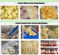 Machine Industrielle à Petite Échelle Direct Usine pour la Fabrication de Chips de Pommes de Terre Fraîches et Ligne de Production de Frites Surgelées