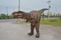   Costume de dinosaure fait main, haute technologie, portable, grand modèle animatronique, mascotte d'Halloween