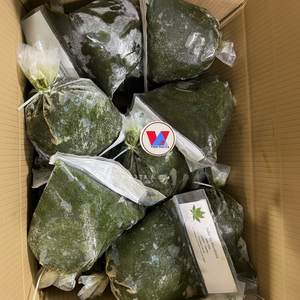 Pasta de Hoja de Yuca Congelada de Vietnam |   Molienda Uniforme |   Se Aceptan Pedidos al por Mayor - Product Image 1